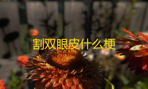 超凡先锋免费开挂神器割双眼皮什么梗